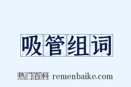 吸管组词是什么意思的图片